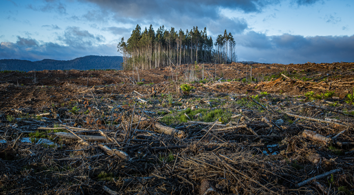 La Nouvelle-Zélande est à l’abri du changement climatique